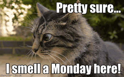 monday5