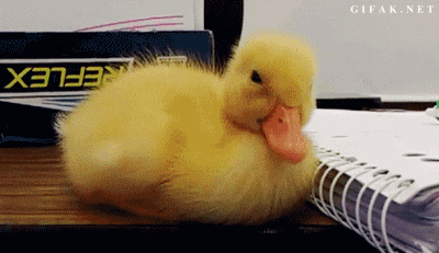 tiredgif