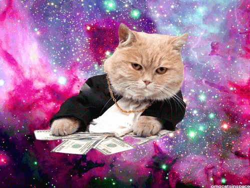 moneycat