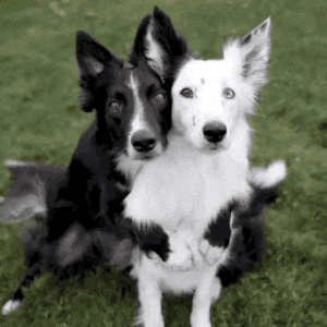 hug2