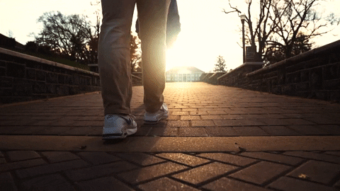 Walking_Quad_GIF_by_James_Madison_University