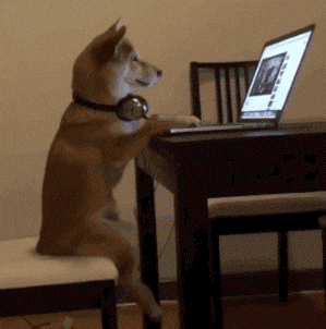 Youtube_Reaction_GIF
